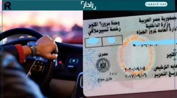 قبل الغرامات.. خطوات سهلة لتجديد رخصة القيادة عبر الإنترنت دون عناء